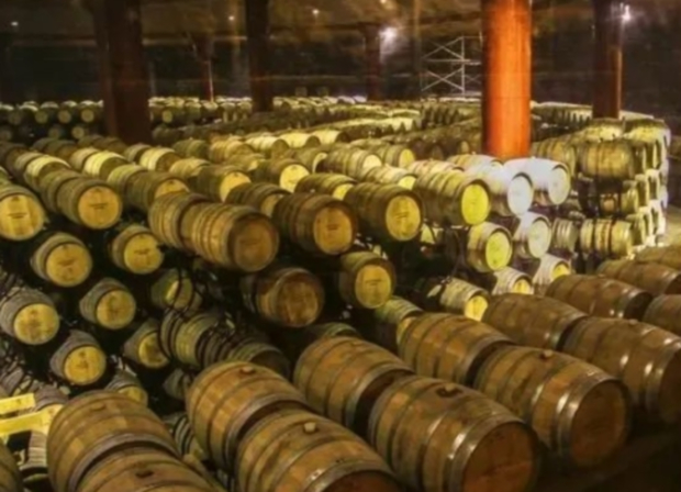 ΢�Ž�ͼ_20241028090922 (2).jpg