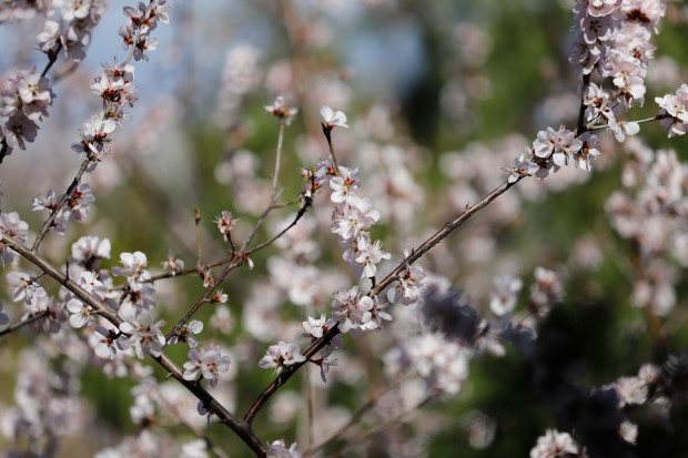 aec379310a55b319ebc4dbea35ff9526cffc1f17b9ac (2).jpg