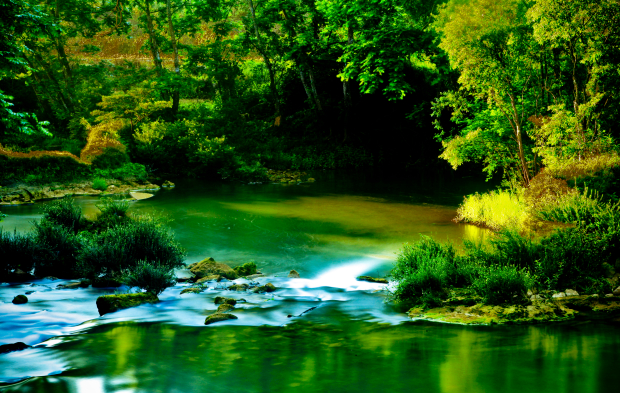 image009 (2).jpg image009 (2).jpg