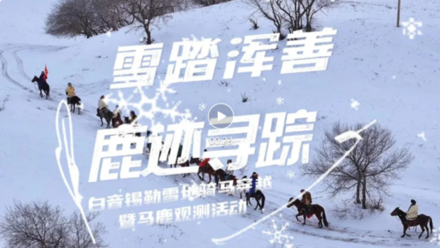 ScreenShot_2026-01-30_085041_808.jpg ScreenShot_2026-01-30_085041_808.jpg