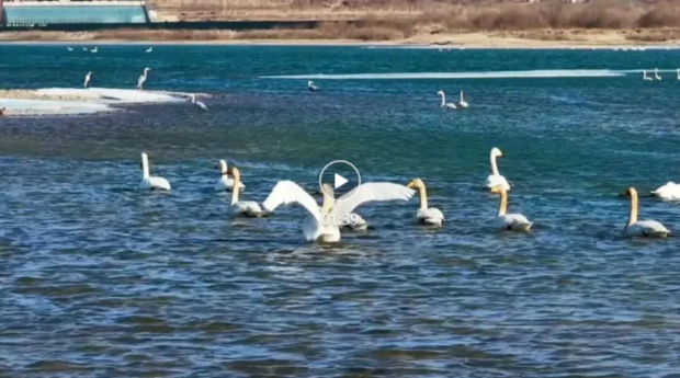 ScreenShot_2026-03-11_144728_141.jpg ScreenShot_2026-03-11_144728_141.jpg